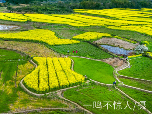 城市風光 (4) 城市風光 (4)